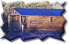 Zion Horseback Riding Tours