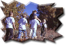 Zion Horseback Riding